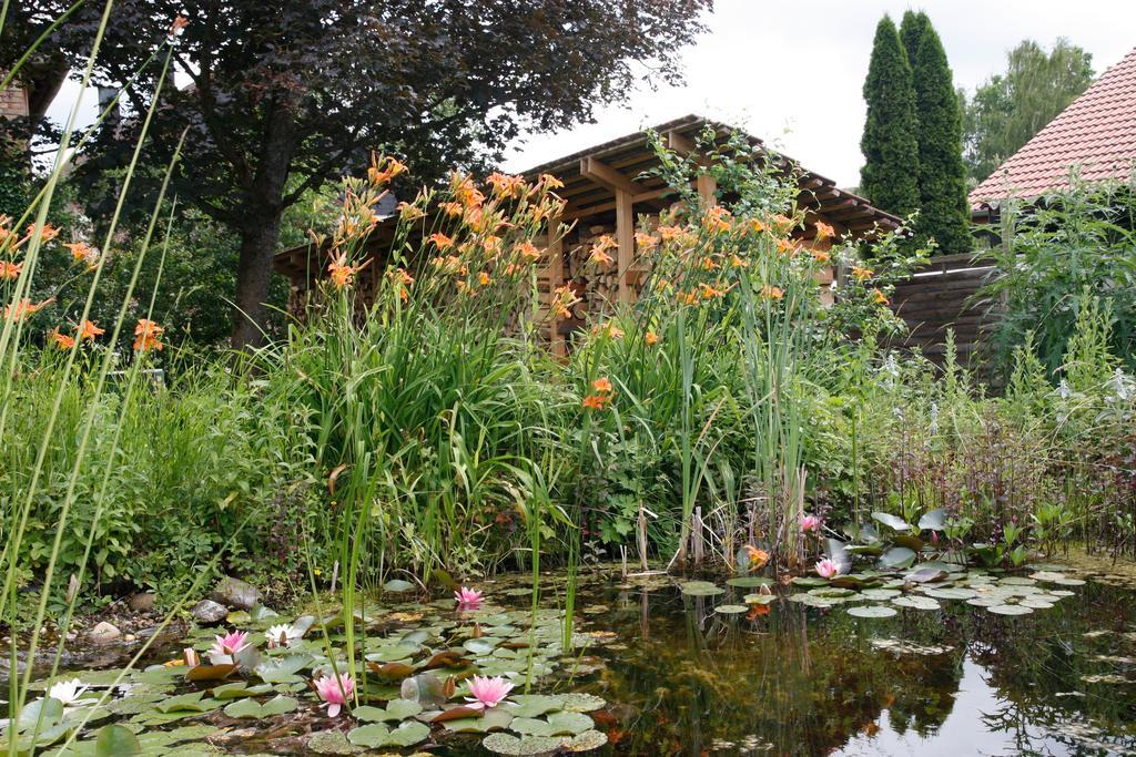 Ferienwohnung Gemütliche Gästezimmer in einem neu sanierten Fachwerkhaus Sachsenheim Exterior foto